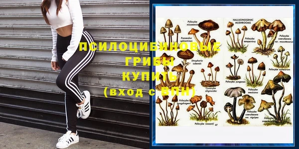 мяу мяу кристалл Бородино