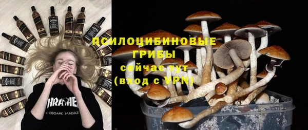 крисы Бугульма